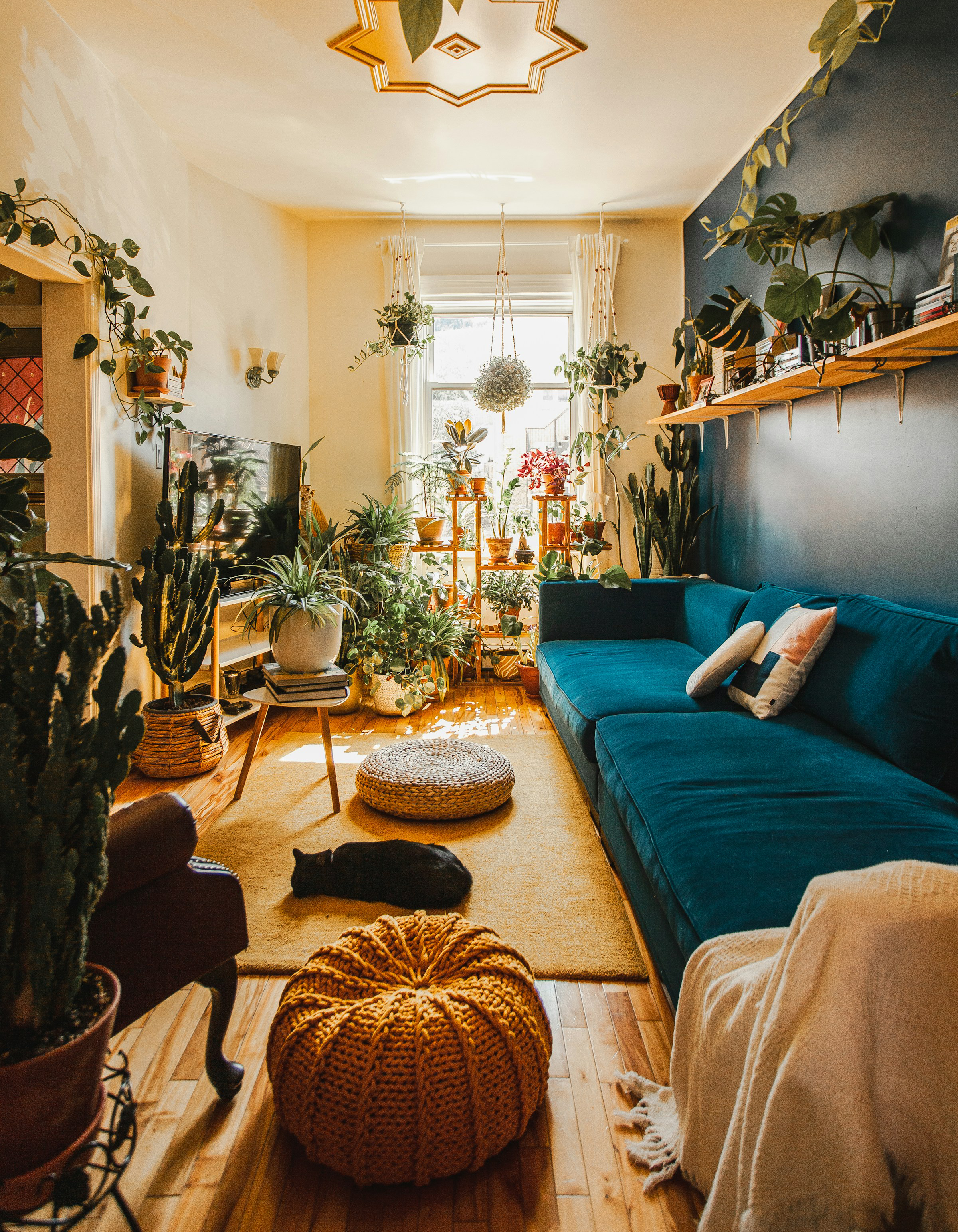 Bohemian & Eclectic Bundles