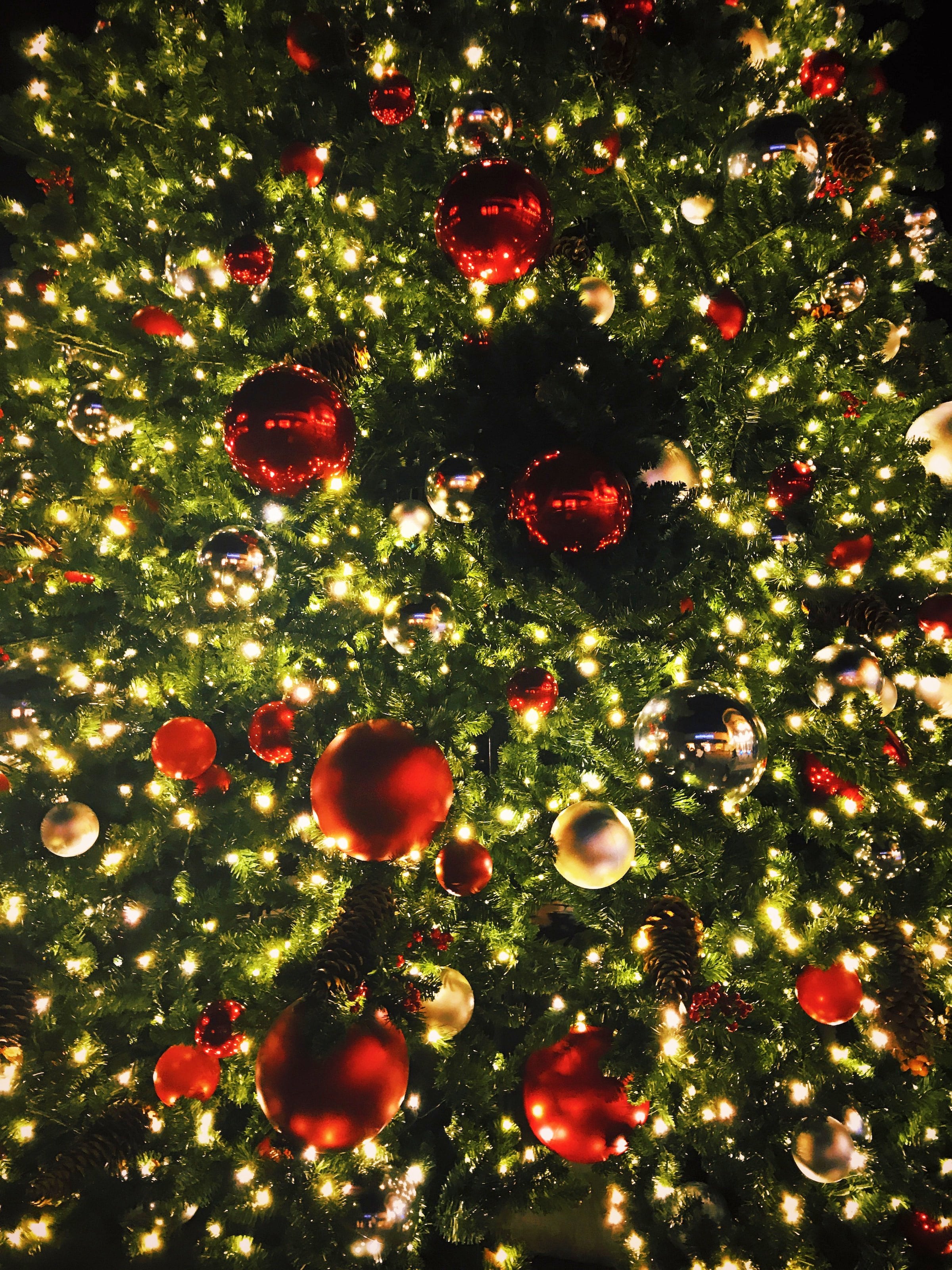 Christmas