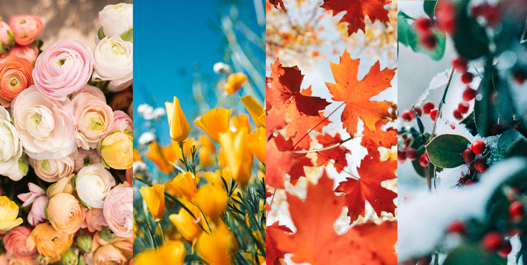 HOW TO: Transition Home Decor Between Seasons