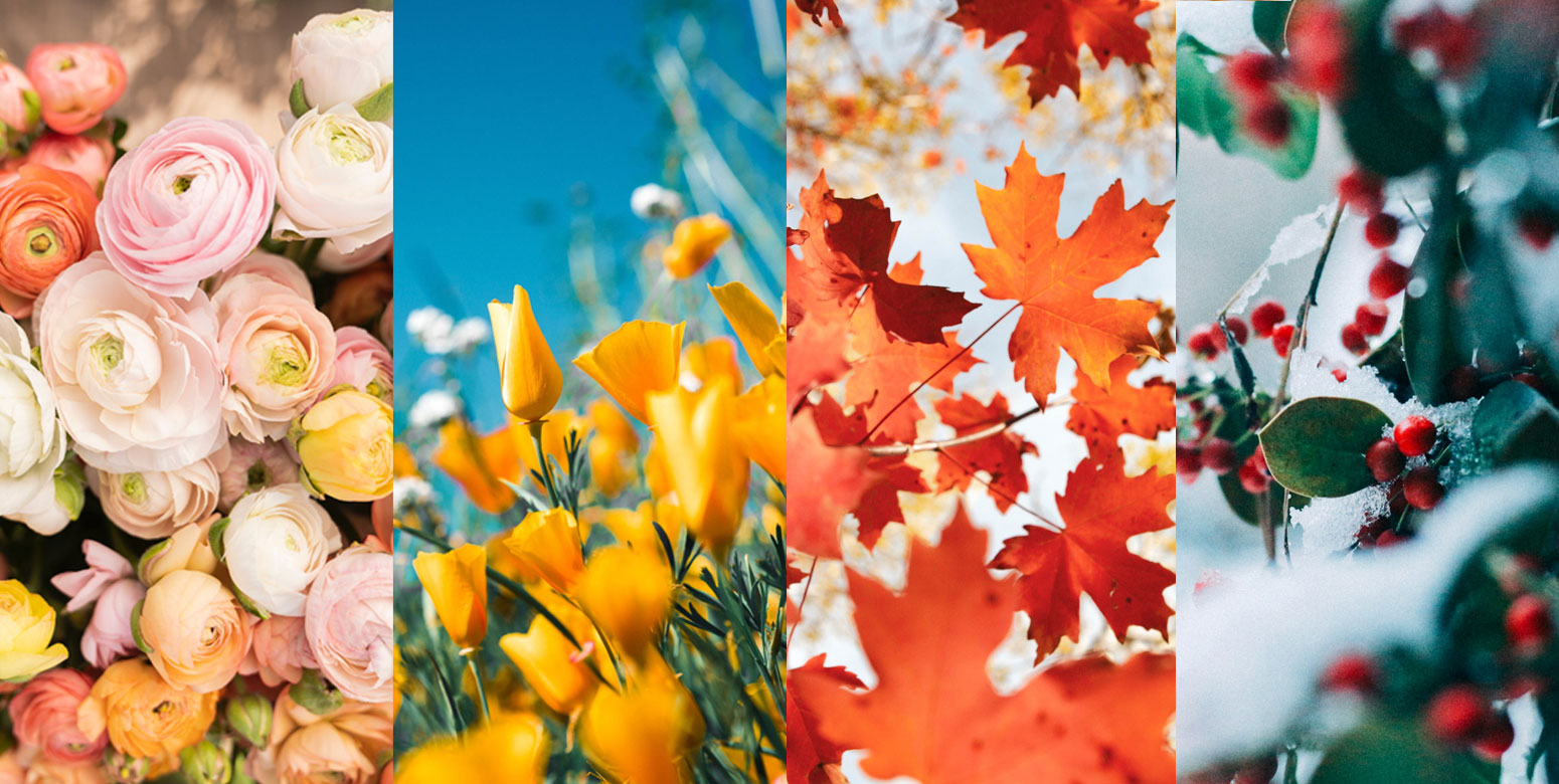 HOW TO: Transition Home Decor Between Seasons