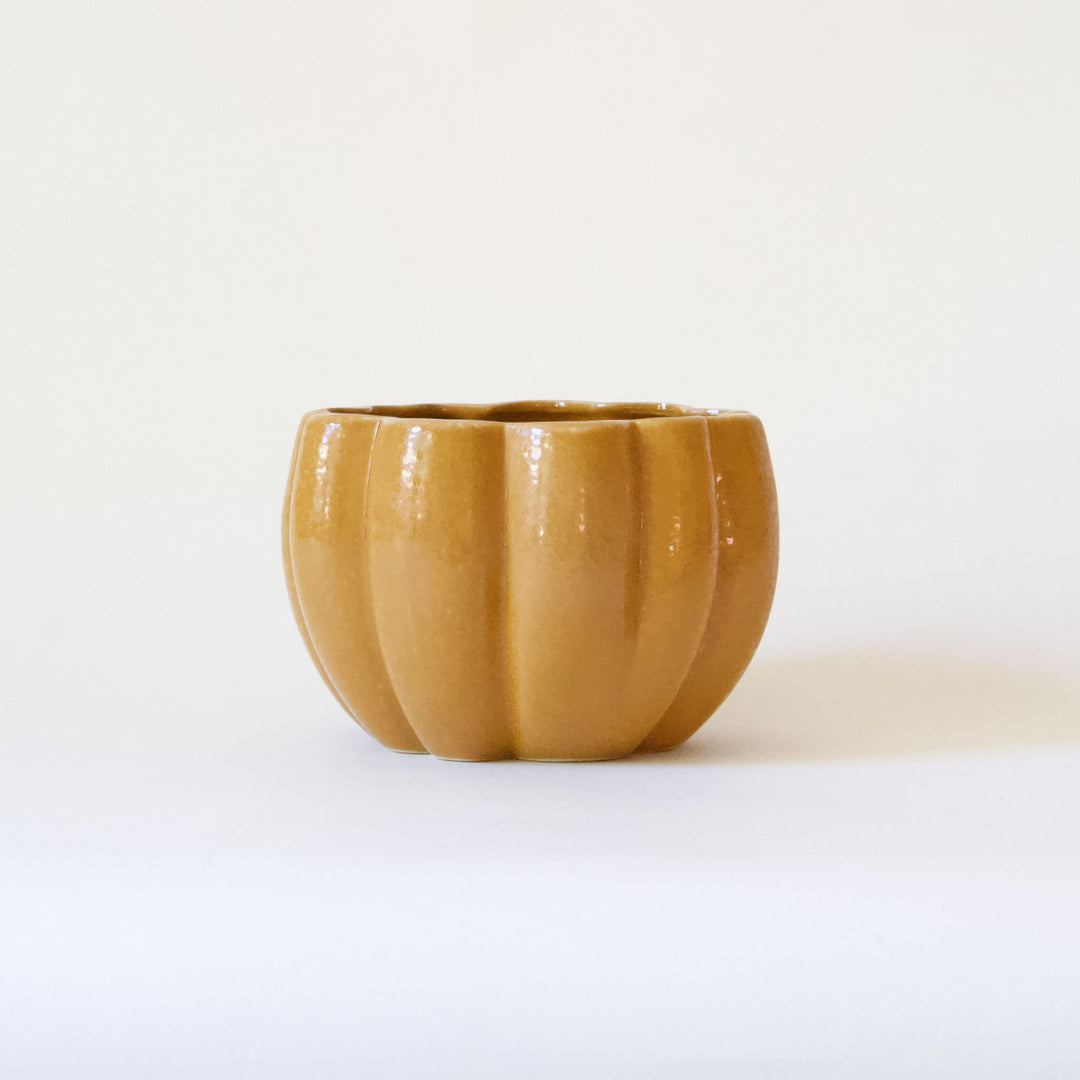 Ceramic Pumpkin Bowl