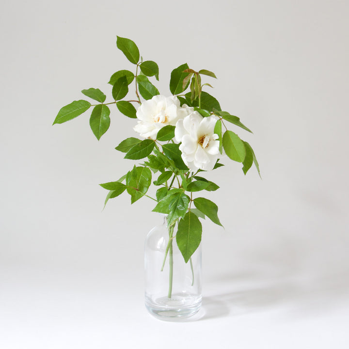 Rustic Glass Bud Vase