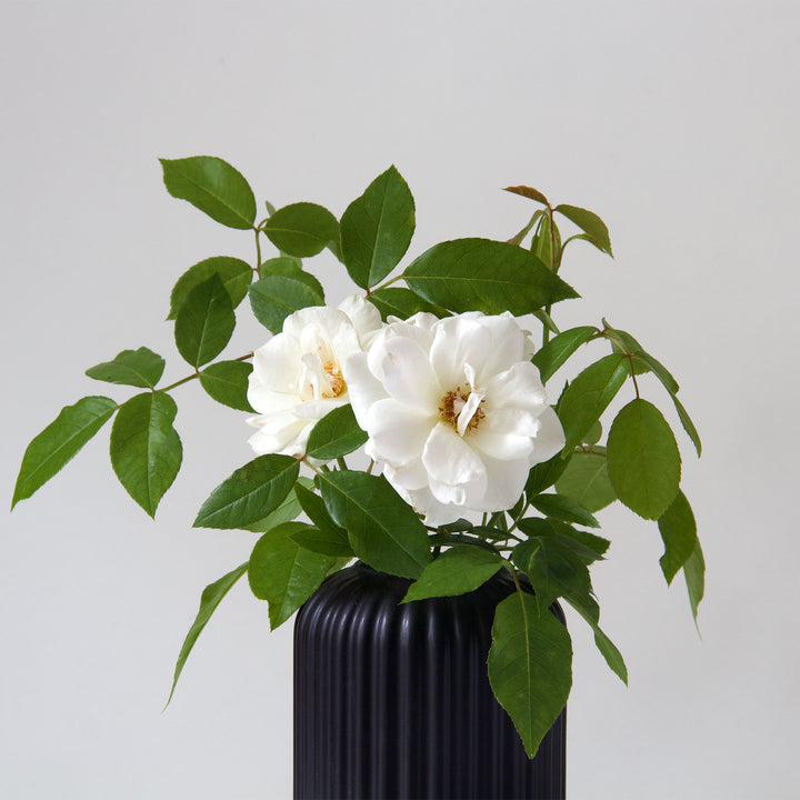 Tall Ribbed Ceramic Vases - Black